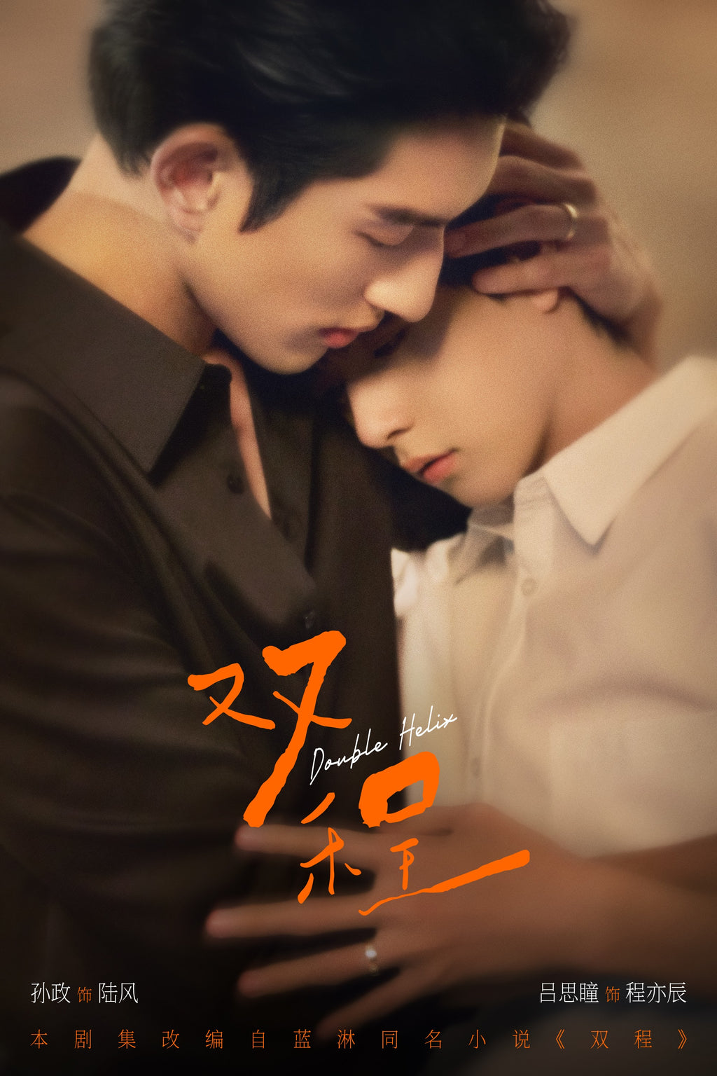 Double Helix 双程 BL Cdrama Tote Bag | Feng Lu Yichen Ayden Sng Lyu Sitong